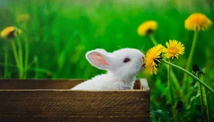 九游娱乐官方-伊朗队中场贝尔特拉在巴黎奥运会上展现出强大的进攻组织能力，伊朗拉什特