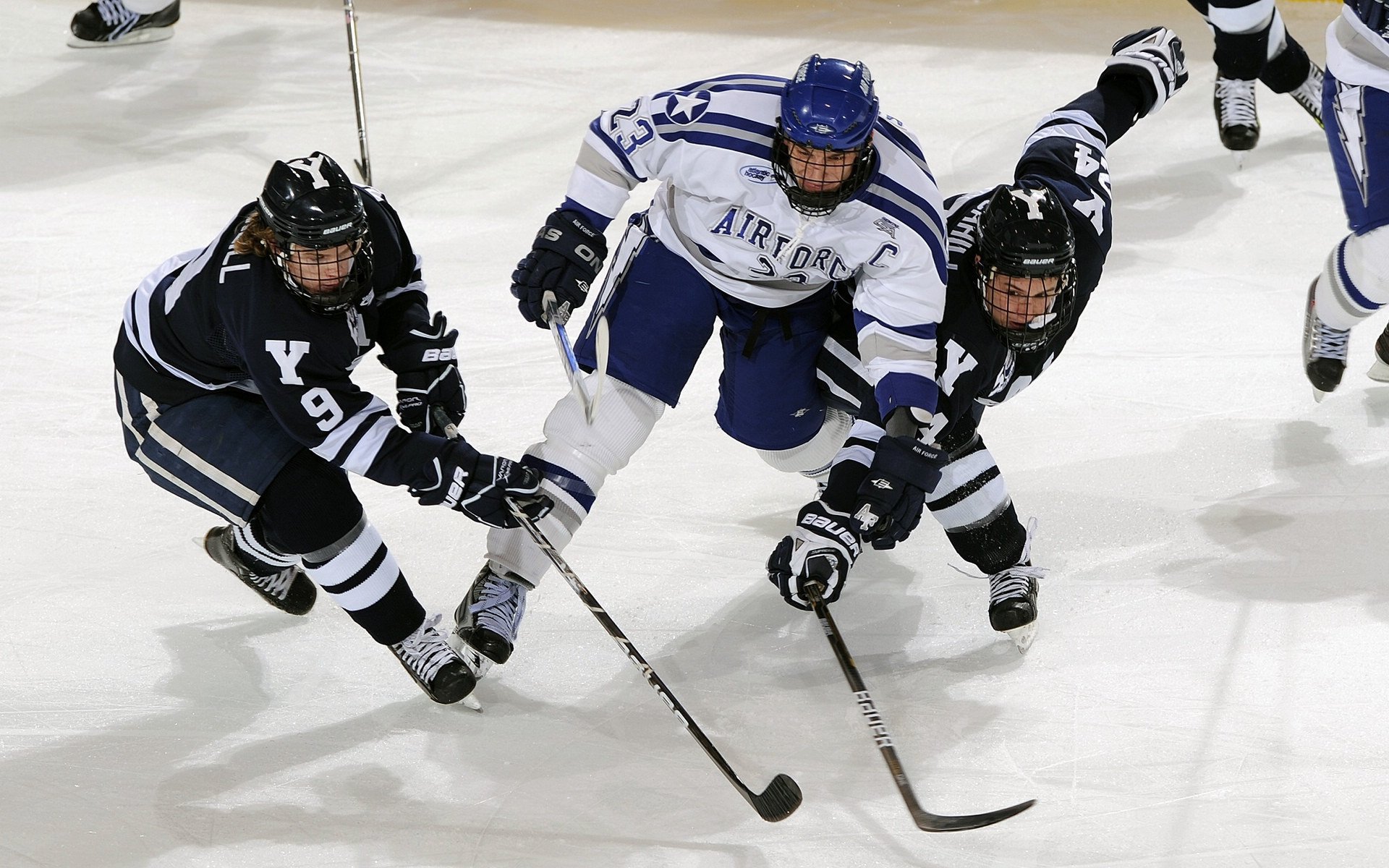 全国大学生篮球联赛收官，冠军队伍备受关注，全国大学生篮球联赛有哪些学校